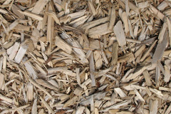 biomass boilers Sibdon Carwood